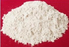  雷竞技在线观看