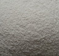 雷竞技在线观看